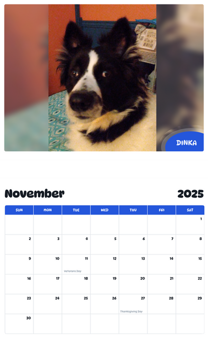 July 2025 - June 2026 Dinka - Pawidols Pet Calendar