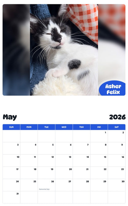 2026 - 2027 Asher Felix - Pawidols Pet Calendar