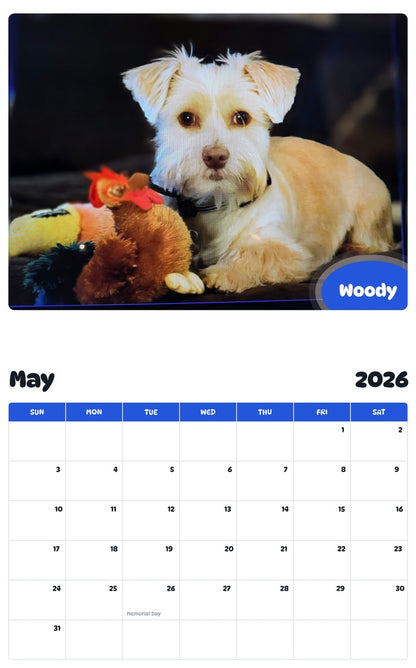 2026 - 2027 Woody - Pawidols Pet Calendar