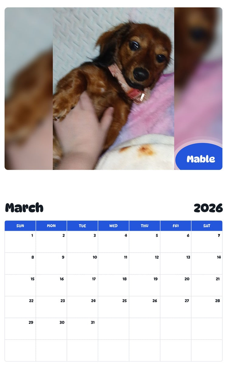 November 2025 - October 2026 Mable - Pawidols Pet Calendar
