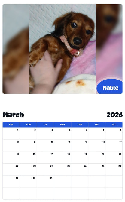 November 2025 - October 2026 Mable - Pawidols Pet Calendar