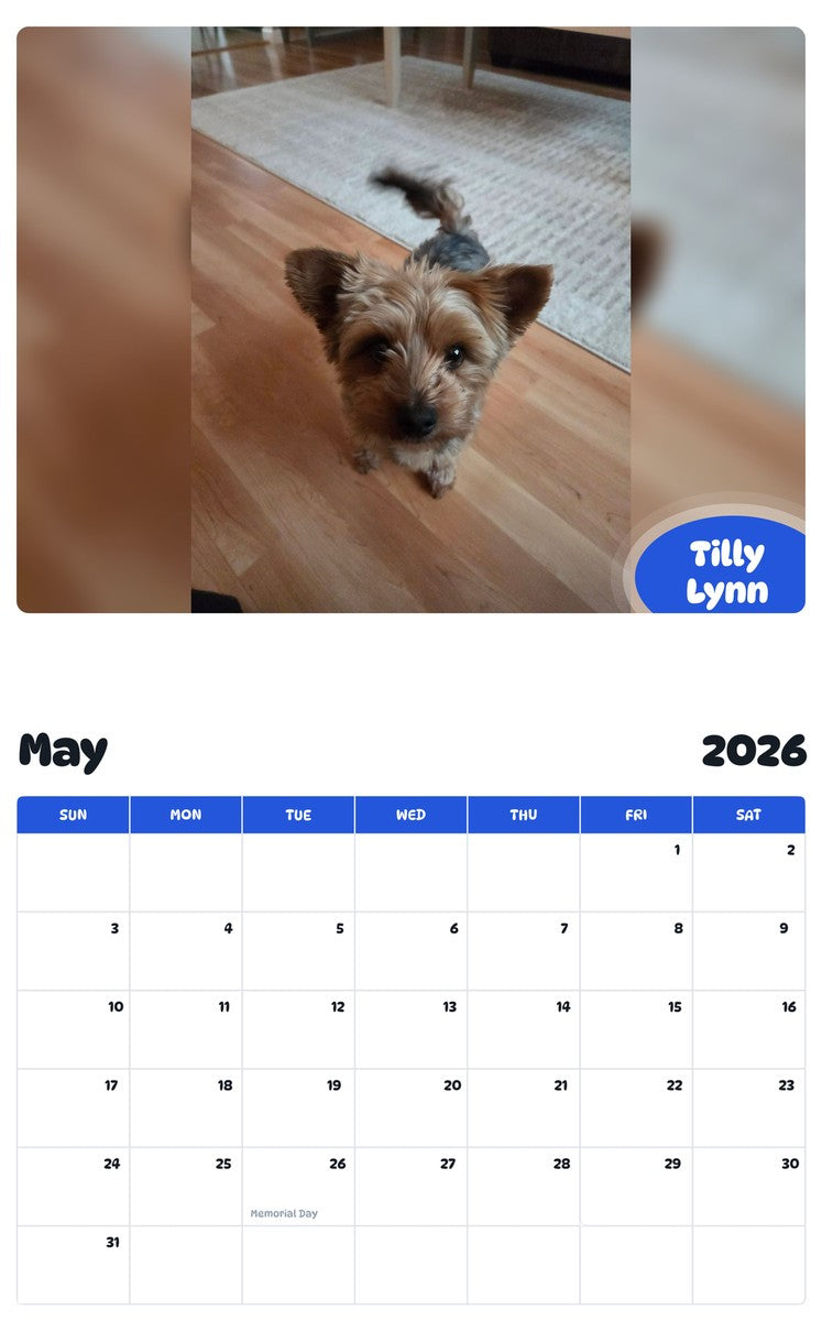 2026 - 2027 Tilly Lynn - Pawidols Pet Calendar