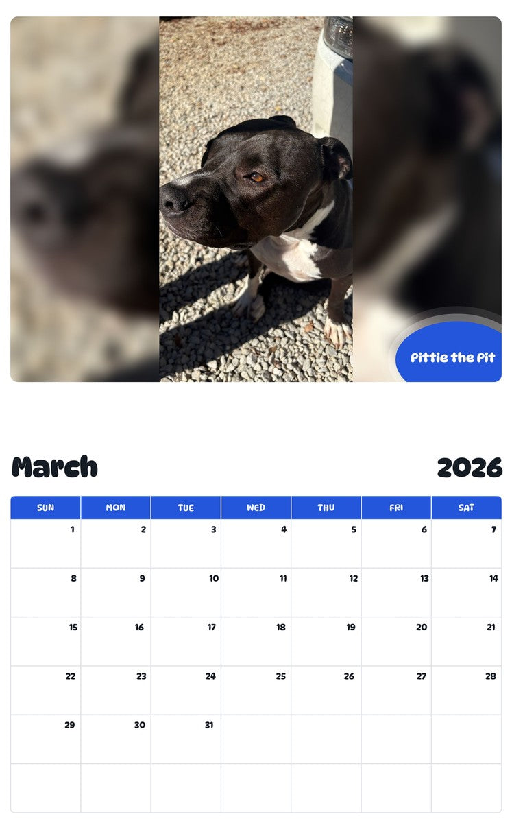 November 2025 - October 2026 Pittie the Pit - Pawidols Pet Calendar