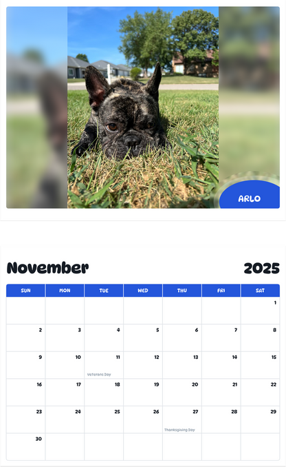 July 2025 - June 2026 Arlo - Pawidols Pet Calendar