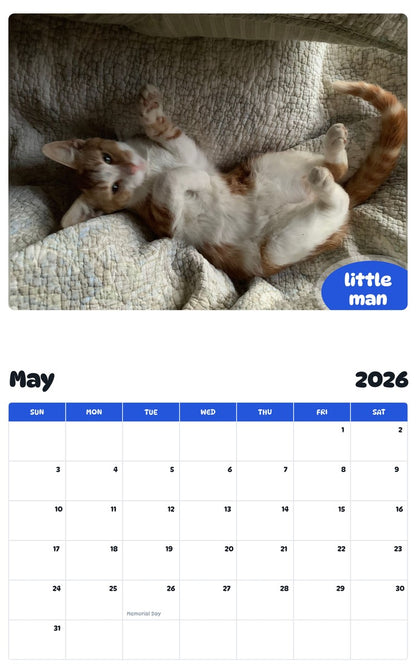 2026 - 2027 little man - Pawidols Pet Calendar