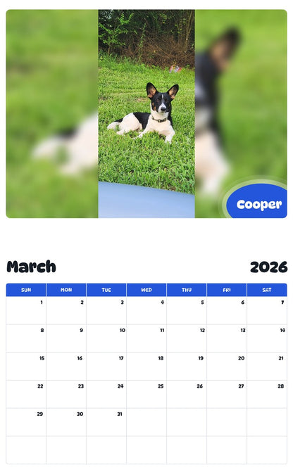 November 2025 - October 2026 Cooper - Pawidols Pet Calendar