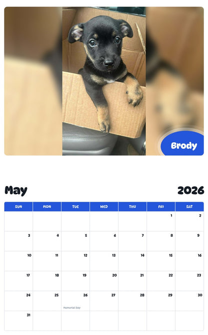2026 - 2027 Brody - Pawidols Pet Calendar
