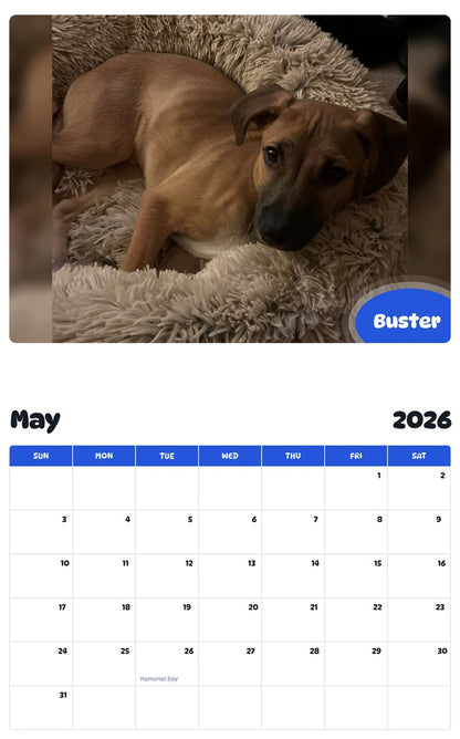 2026 - 2027 Buster - Pawidols Pet Calendar