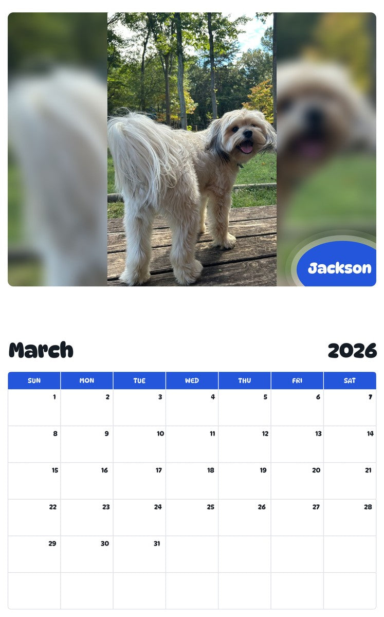 November 2025 - October 2026 Jackson - Pawidols Pet Calendar