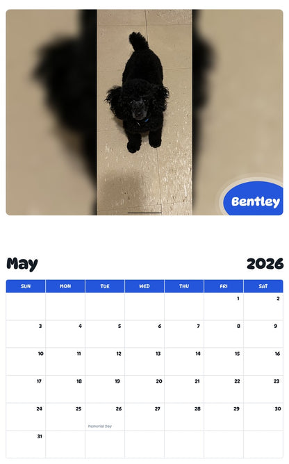 2026 - 2027 Bentley - Pawidols Pet Calendar