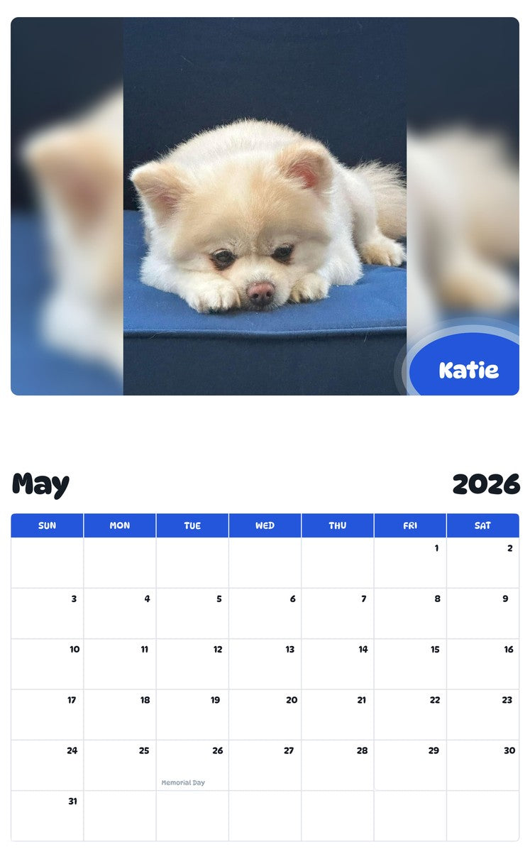 2026 - 2027 Katie - Pawidols Pet Calendar