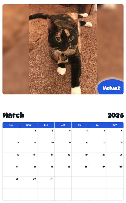 November 2025 - October 2026 Velvet - Pawidols Pet Calendar
