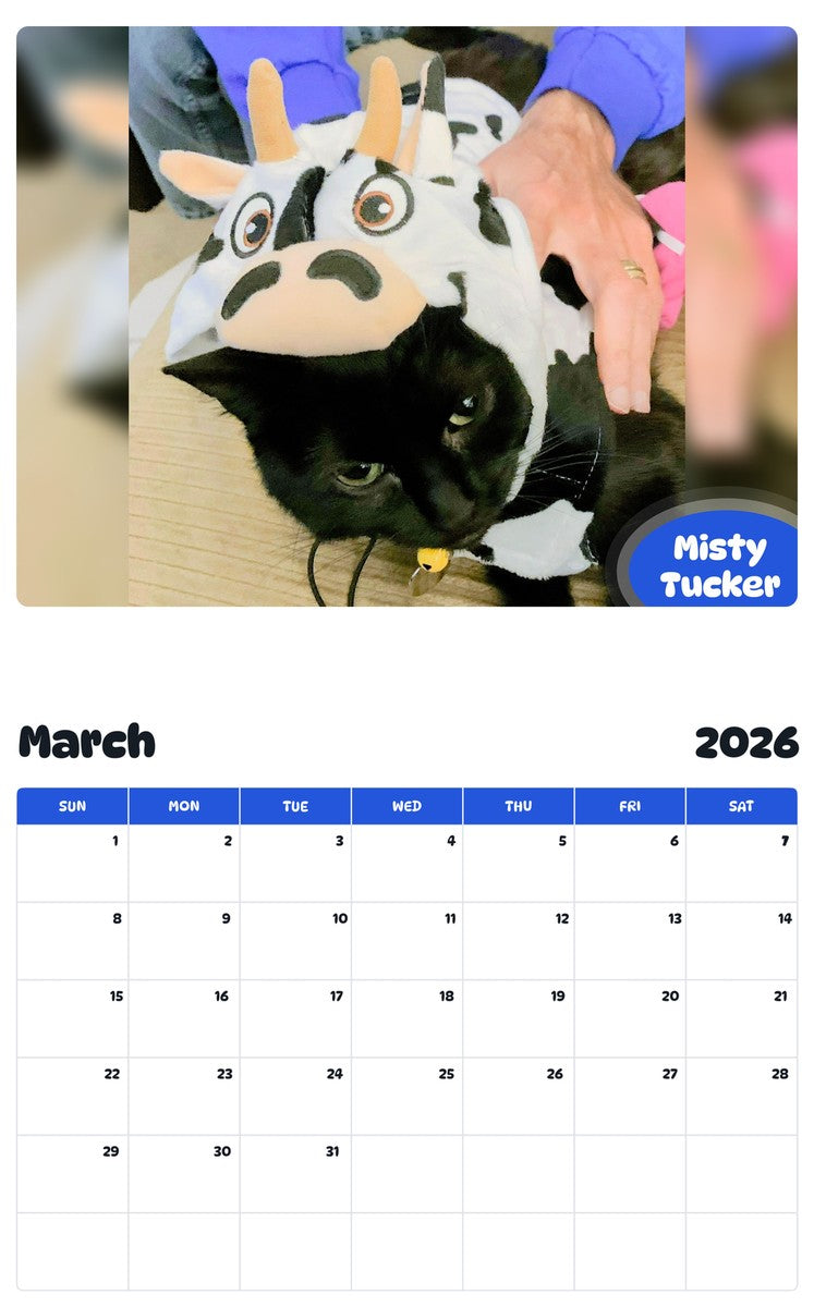 November 2025 - October 2026 Misty Tucker - Pawidols Pet Calendar