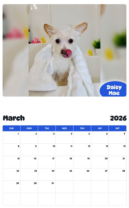 November 2025 - October 2026 Daisy Mae - Pawidols Pet Calendar