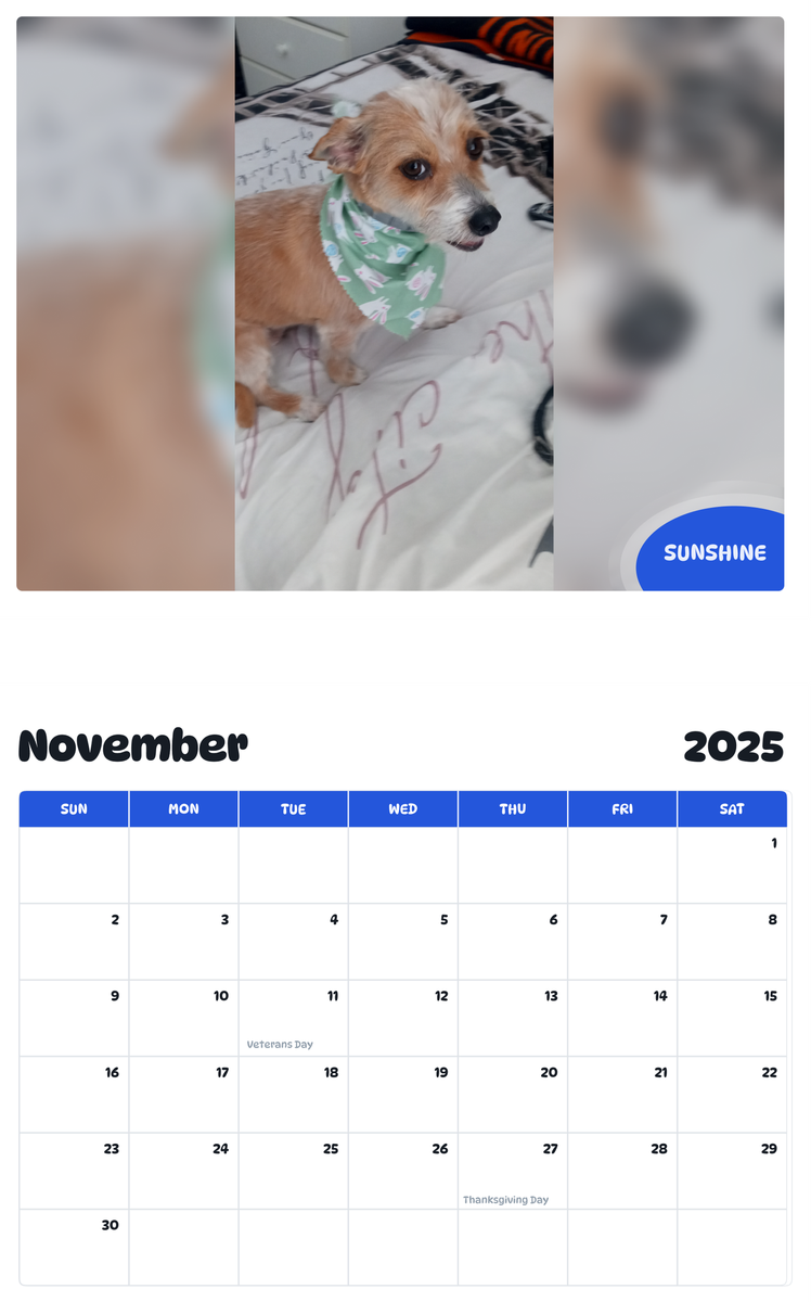 July 2025 - June 2026 Sunshine - Pawidols Pet Calendar