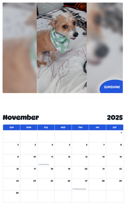 July 2025 - June 2026 Sunshine - Pawidols Pet Calendar
