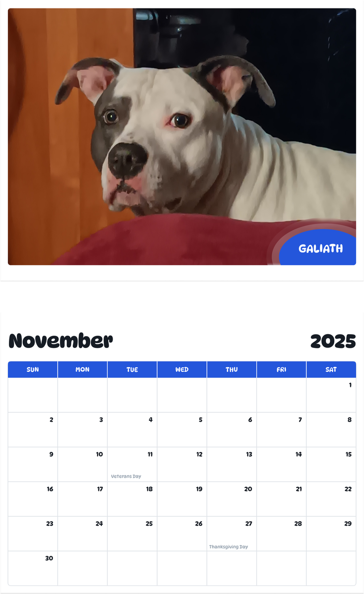July 2025 - June 2026 Galiath - Pawidols Pet Calendar