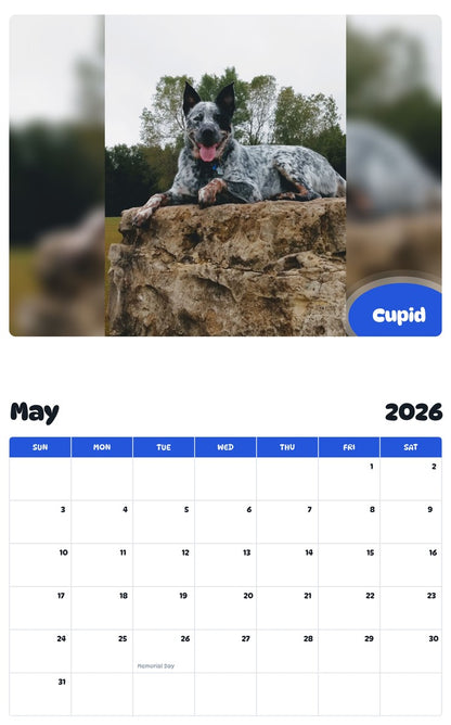 2026 - 2027 Cupid - Pawidols Pet Calendar