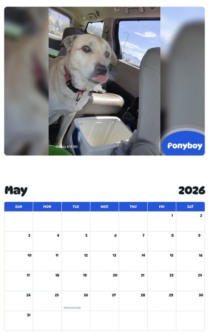 2026 - 2027 Ponyboy - Pawidols Pet Calendar