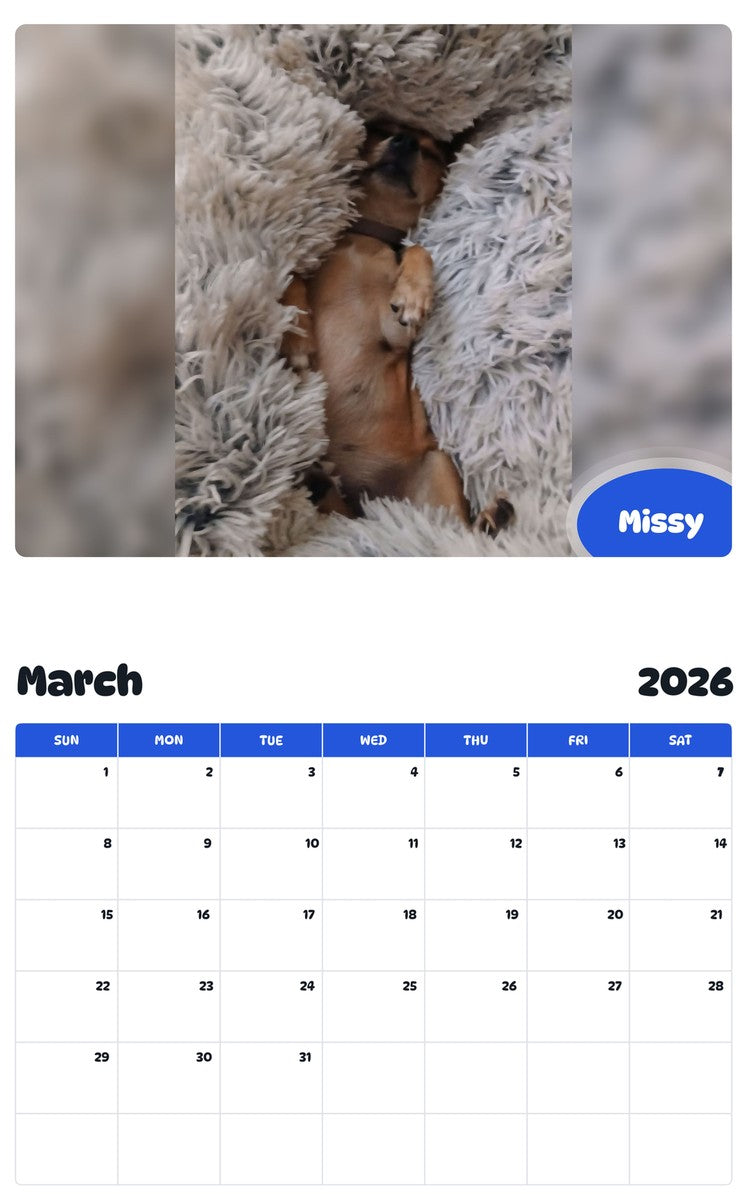 November 2025 - October 2026 Missy - Pawidols Pet Calendar