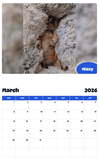 November 2025 - October 2026 Missy - Pawidols Pet Calendar