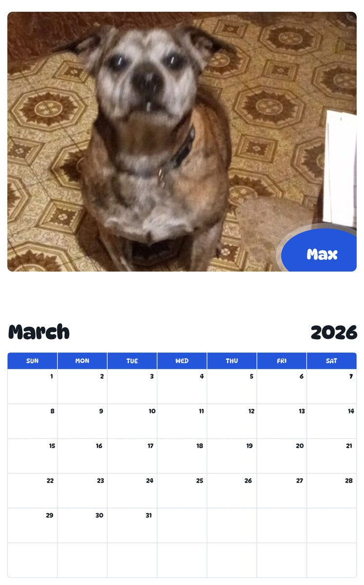 November 2025 - October 2026 Max - Pawidols Pet Calendar