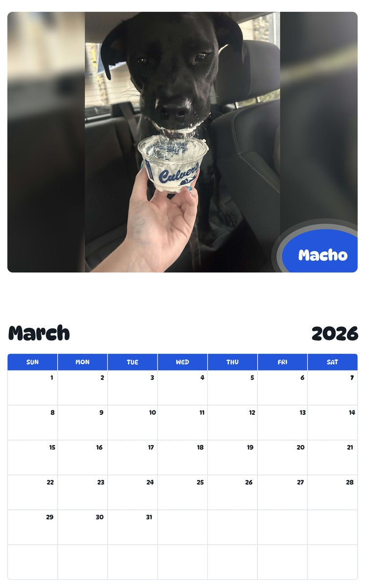 November 2025 - October 2026 Macho - Pawidols Pet Calendar