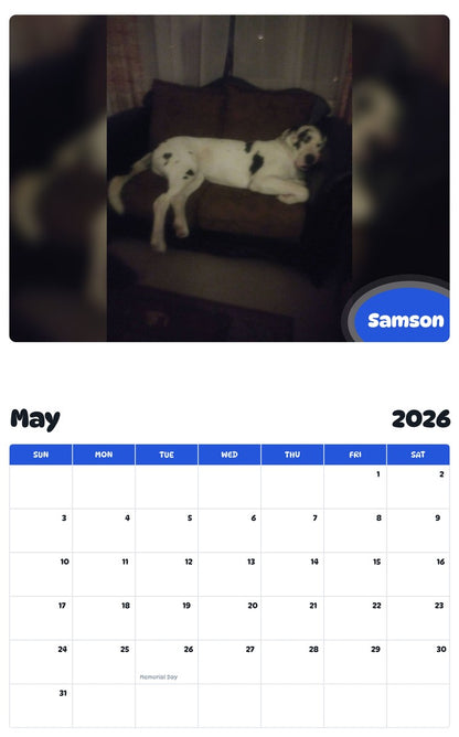 2026 - 2027 Samson - Pawidols Pet Calendar