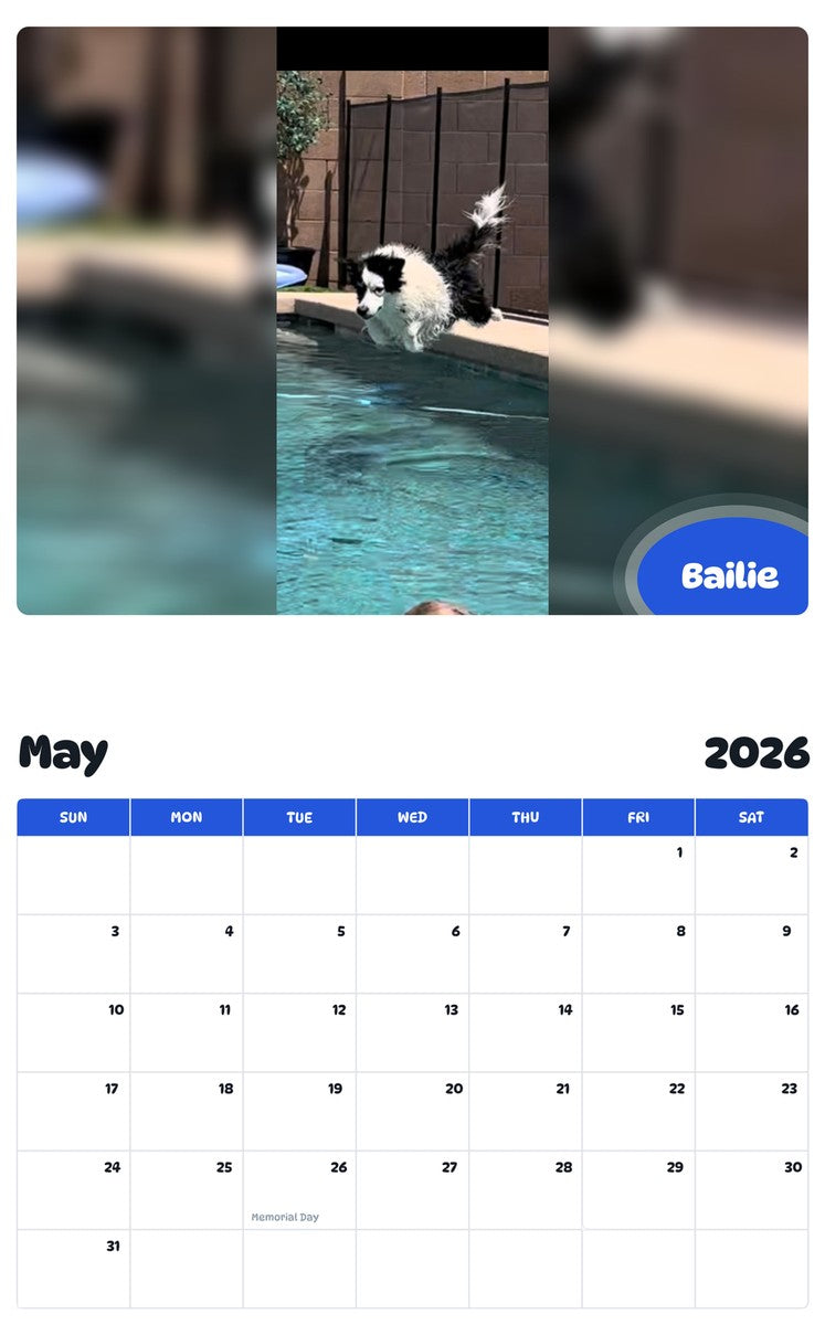 2026 - 2027 Bailie - Pawidols Pet Calendar