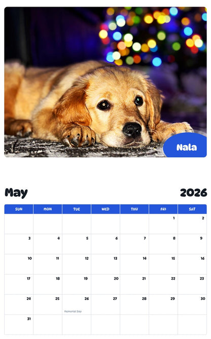 2026 - 2027 Nala - Pawidols Pet Calendar