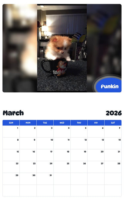 November 2025 - October 2026 Punkin - Pawidols Pet Calendar