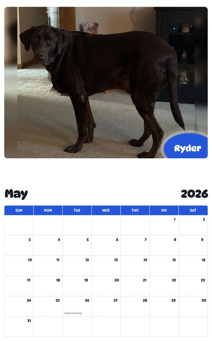 2026 - 2027 Ryder - Pawidols Pet Calendar