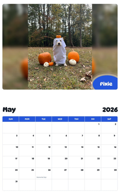 2026 - 2027 Pixie - Pawidols Pet Calendar