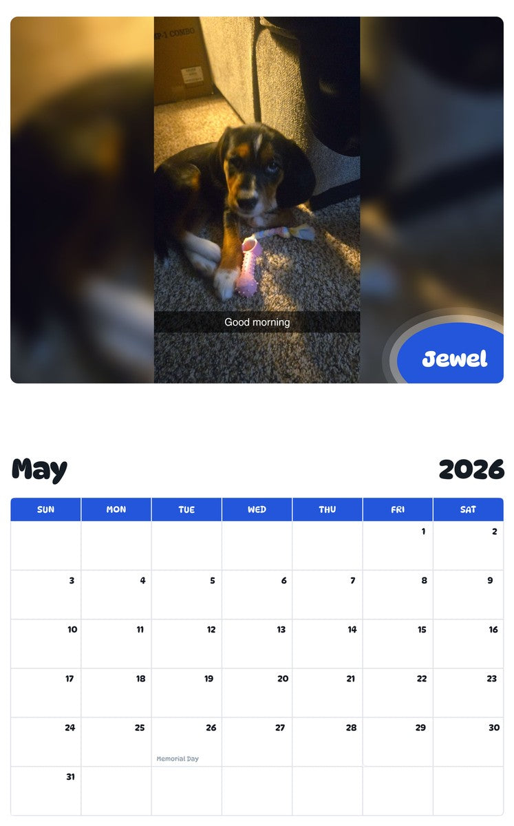 2026 - 2027 Jewel - Pawidols Pet Calendar