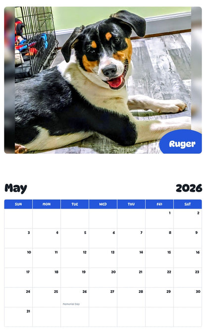 2026 - 2027 Ruger - Pawidols Pet Calendar
