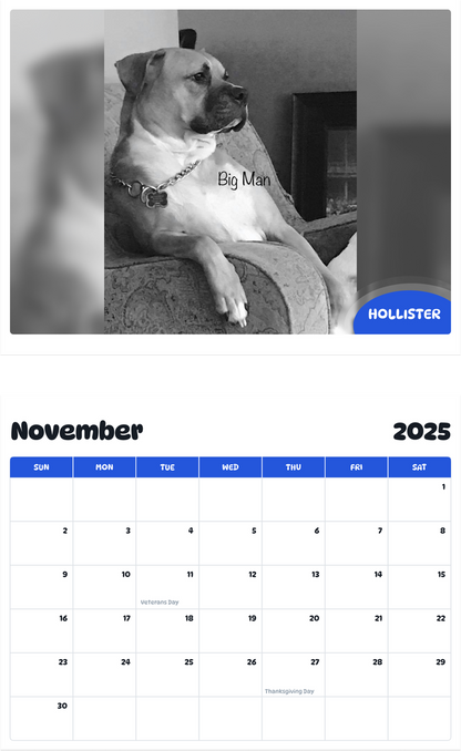 July 2025 - June 2026 Hollister - Pawidols Pet Calendar