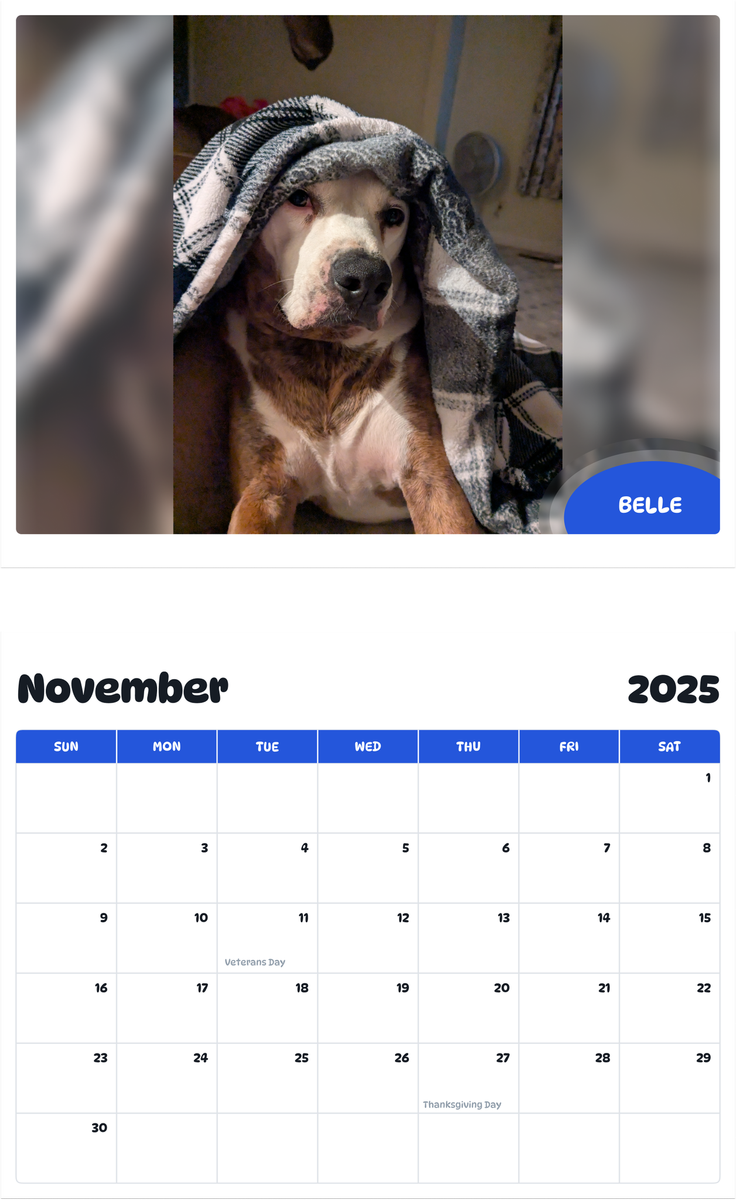 July 2025 - June 2026 Belle - Pawidols Pet Calendar