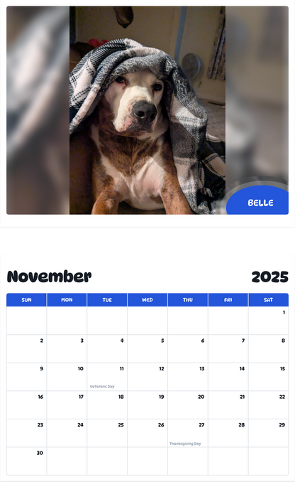 July 2025 - June 2026 Belle - Pawidols Pet Calendar