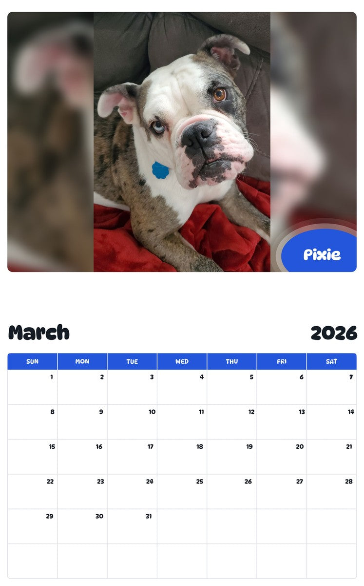 November 2025 - October 2026 Pixie - Pawidols Pet Calendar