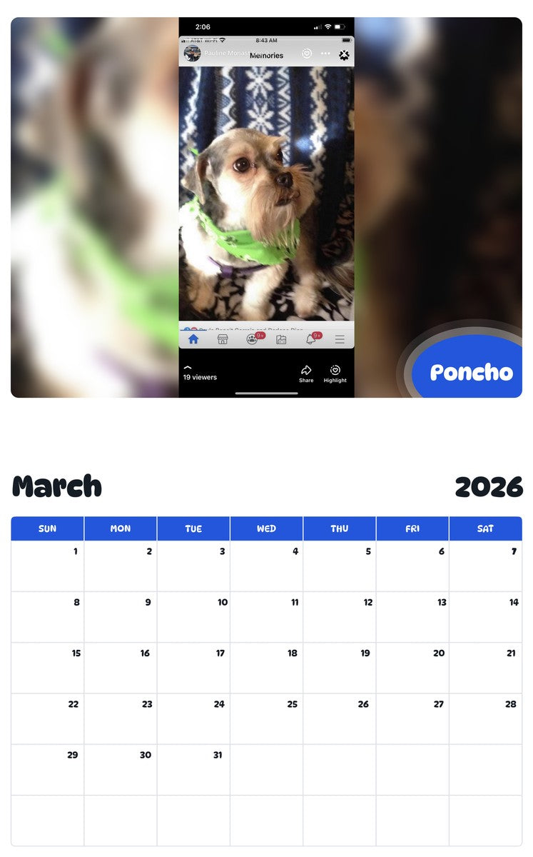 November 2025 - October 2026 Poncho - Pawidols Pet Calendar