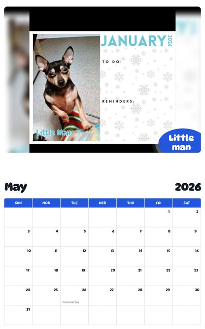 2026 - 2027 Little man - Pawidols Pet Calendar