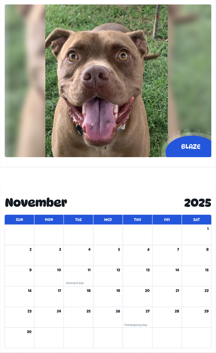 July 2025 - June 2026 Blaze - Pawidols Pet Calendar