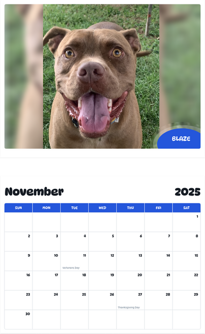 July 2025 - June 2026 Blaze - Pawidols Pet Calendar