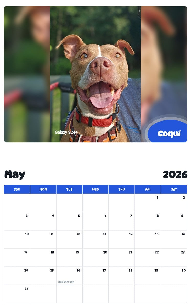 2026 - 2027 Coquí - Pawidols Pet Calendar
