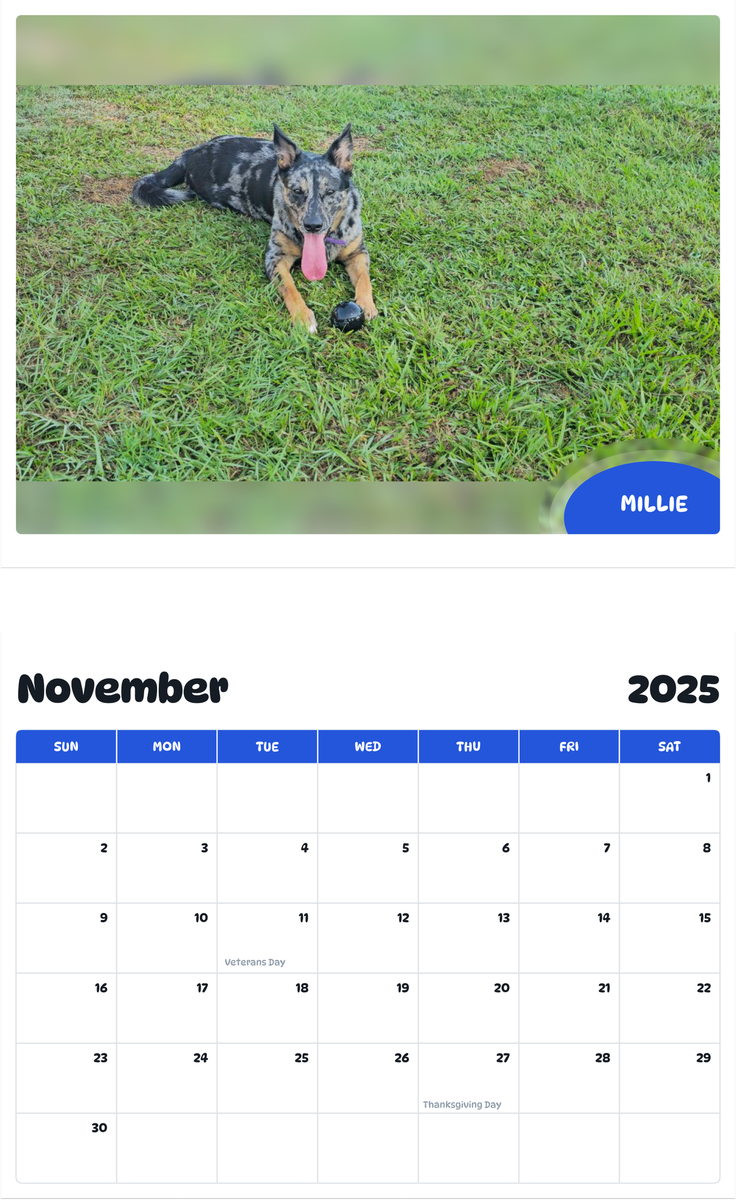 July 2025 - June 2026 Millie - Pawidols Pet Calendar