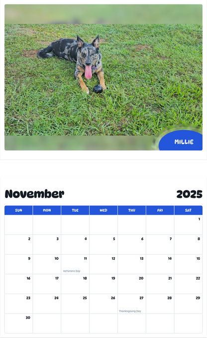 July 2025 - June 2026 Millie - Pawidols Pet Calendar