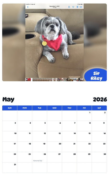 2026 - 2027 Sir Riley - Pawidols Pet Calendar