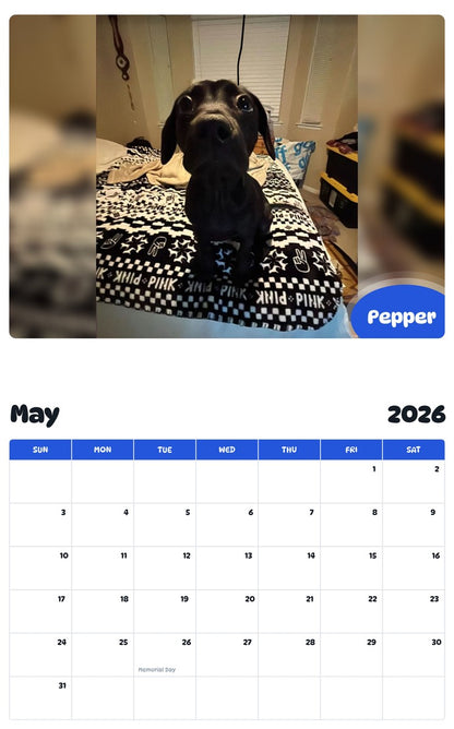 2026 - 2027 Pepper - Pawidols Pet Calendar