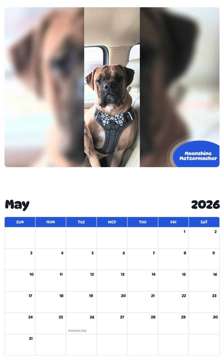 2026 - 2027 Moonshine Metzermacher - Pawidols Pet Calendar