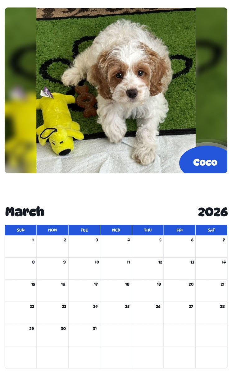 November 2025 - October 2026 Coco - Pawidols Pet Calendar
